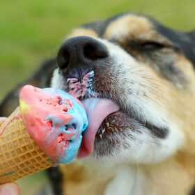 IceCream